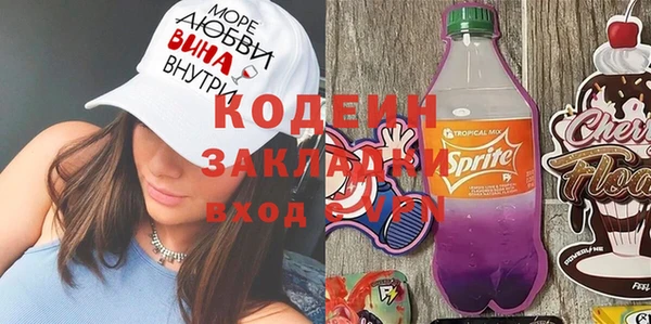 метадон Алексин