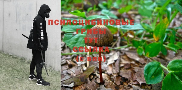 тгк Аркадак