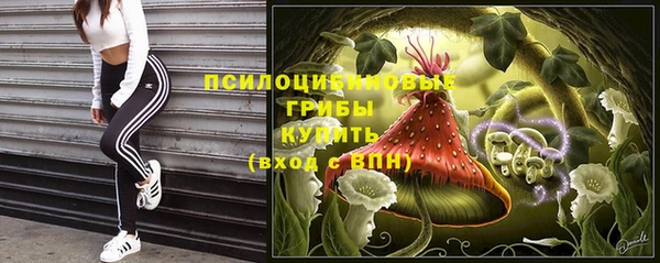 молекула духа Осташков
