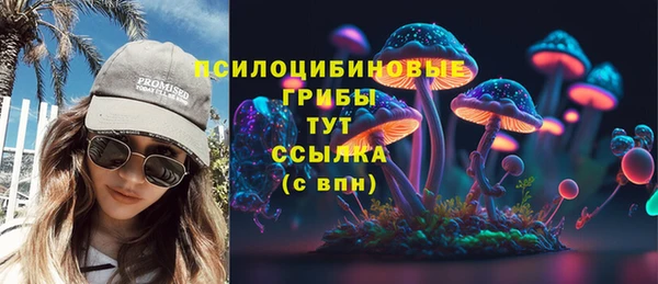 СК Алзамай