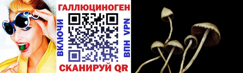 Галлюциногенные грибы мицелий  Куса 